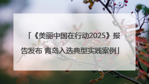 《美丽中国在行动2025》报告发布 青岛入选典型实践案例