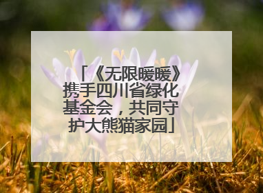 《无限暖暖》携手四川省绿化基金会，共同守护大熊猫家园