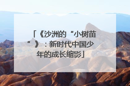 《沙洲的“小树苗”》：新时代中国少年的成长缩影