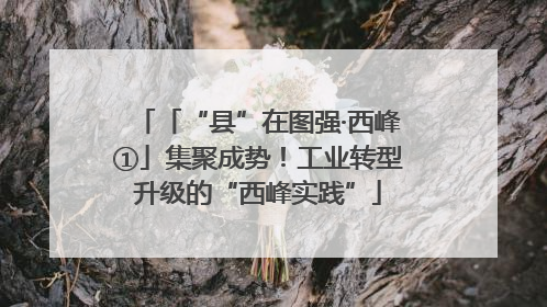 「“县”在图强·西峰①」集聚成势！工业转型升级的“西峰实践”