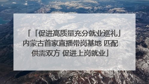 「促进高质量充分就业巡礼」内蒙古首家直播带岗基地 匹配供需双方 促进上岗就业