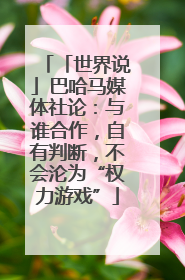 「世界说」巴哈马媒体社论：与谁合作，自有判断，不会沦为“权力游戏”