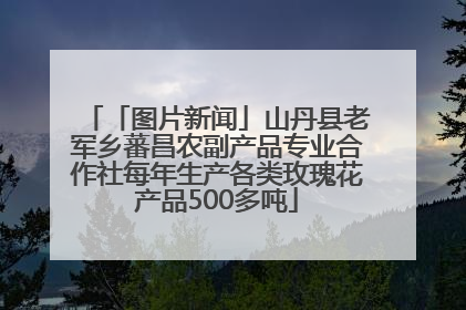 「图片新闻」山丹县老军乡蕃昌农副产品专业合作社每年生产各类玫瑰花产品500多吨