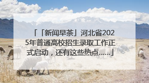 「新闻早茶」河北省2025年普通高校招生录取工作正式启动，还有这些热点……
