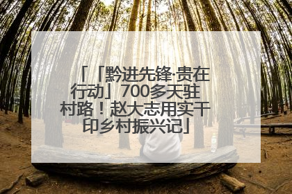 「黔进先锋·贵在行动」700多天驻村路！赵大志用实干印乡村振兴记