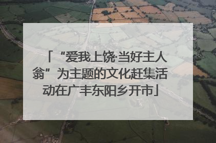“爱我上饶·当好主人翁”为主题的文化赶集活动在广丰东阳乡开市