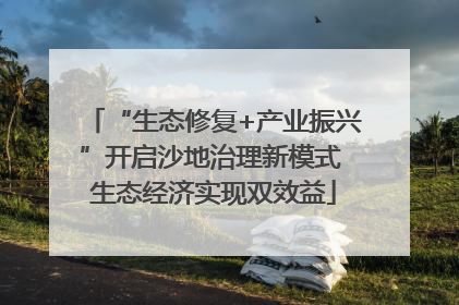 “生态修复+产业振兴”开启沙地治理新模式 生态经济实现双效益
