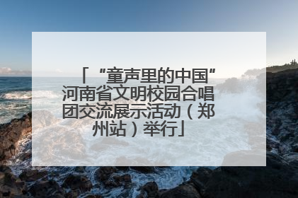 “童声里的中国”河南省文明校园合唱团交流展示活动（郑州站）举行