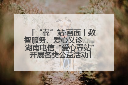 “翼”站·画面丨数智服务、爱心义诊……湖南电信“爱心翼站” 开展各类公益活动
