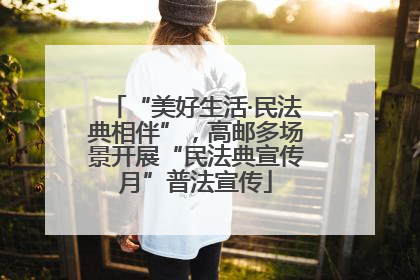 “美好生活·民法典相伴”，高邮多场景开展“民法典宣传月”普法宣传