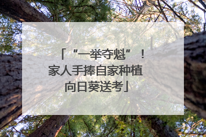“一举夺魁”！家人手捧自家种植向日葵送考