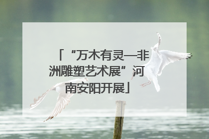 “万木有灵—非洲雕塑艺术展”河南安阳开展