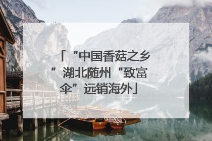 “中国香菇之乡”湖北随州“致富伞”远销海外
