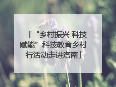 “乡村振兴 科技赋能”科技教育乡村行活动走进洛南