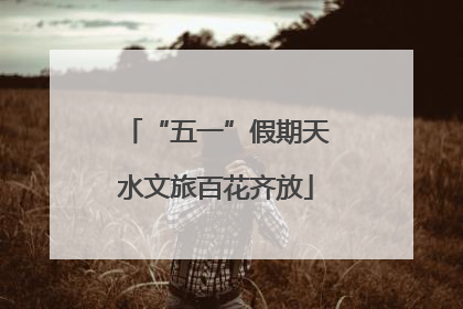 “五一”假期天水文旅百花齐放