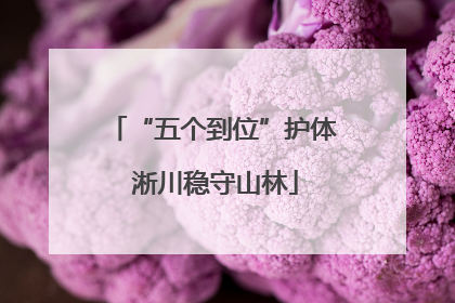 “五个到位”护体 淅川稳守山林