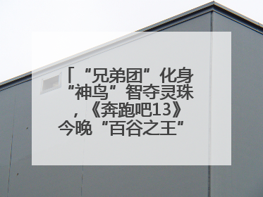 “兄弟团”化身“神鸟”智夺灵珠，《奔跑吧13》今晚“百谷之王”花落谁家？