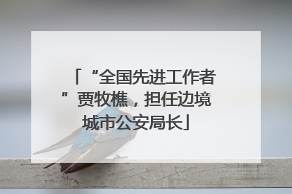 “全国先进工作者”贾牧樵，担任边境城市公安局长