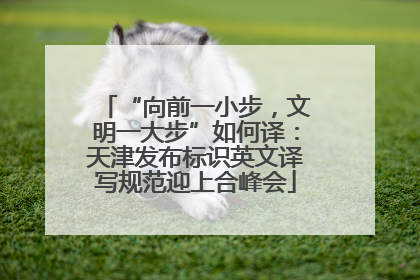“向前一小步，文明一大步”如何译：天津发布标识英文译写规范迎上合峰会