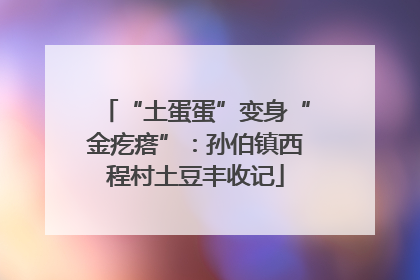 “土蛋蛋”变身“金疙瘩”：孙伯镇西程村土豆丰收记