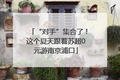 “对手”集合了！这个夏天跟着苏超0元游南京浦口