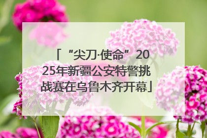 “尖刀·使命”2025年新疆公安特警挑战赛在乌鲁木齐开幕
