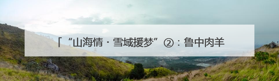 “山海情・雪域援梦”②：鲁中肉羊高原零伤亡，山东援藏破养殖密码