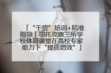 “干货”培训+精准指导丨鄂托克旗三所学校体育课堂在高校专家助力下“提质增效”