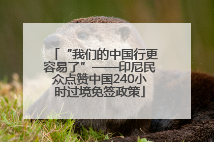 “我们的中国行更容易了”——印尼民众点赞中国240小时过境免签政策