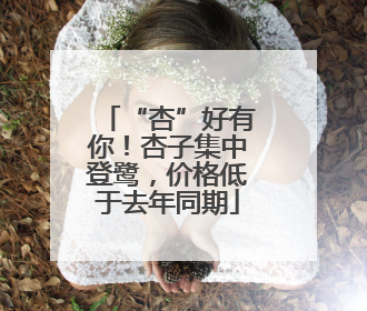 “杏”好有你！杏子集中登鹭，价格低于去年同期
