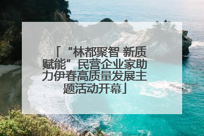 “林都聚智 新质赋能”民营企业家助力伊春高质量发展主题活动开幕