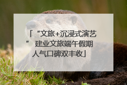 “文旅+沉浸式演艺” 建业文旅端午假期人气口碑双丰收
