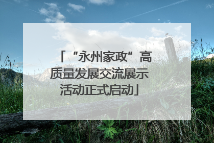 “永州家政”高质量发展交流展示活动正式启动
