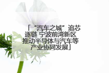 “汽车之城”追芯逐链 宁波前湾新区推动半导体与汽车等产业协同发展