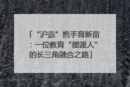 “沪嘉”携手育新苗：一位教育“摆渡人”的长三角融合之路