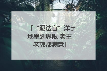 “泥法官”洋芋地里划界限 老王老郭都满意