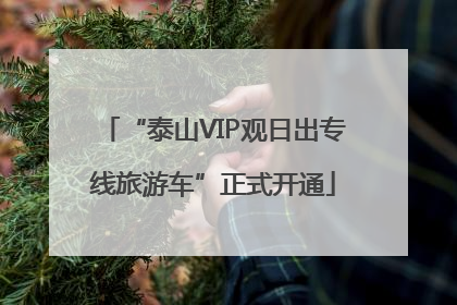 “泰山VIP观日出专线旅游车”正式开通