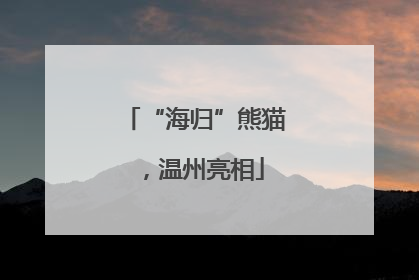 “海归”熊猫，温州亮相