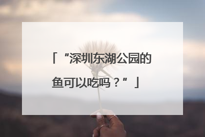 “深圳东湖公园的鱼可以吃吗？”