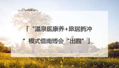 “温泉医康养+旅居腾冲”模式借南博会“出圈”