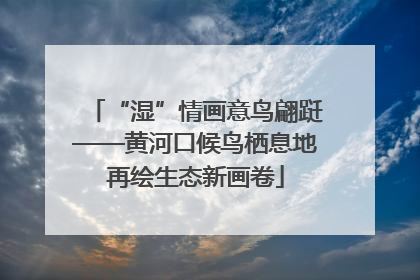 “湿”情画意鸟翩跹——黄河口候鸟栖息地再绘生态新画卷