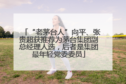 “老茅台人”向平、张贵超获推荐为茅台集团副总经理人选，后者是集团最年轻党委委员