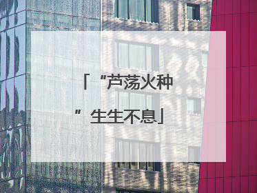 “芦荡火种”生生不息