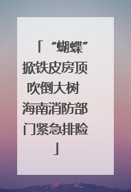 “蝴蝶”掀铁皮房顶吹倒大树 海南消防部门紧急排险