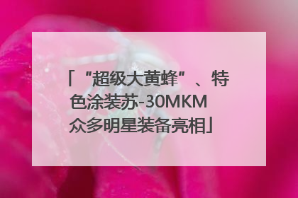 “超级大黄蜂”、特色涂装苏-30MKM 众多明星装备亮相
