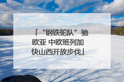 “钢铁驼队”驰欧亚 中欧班列加快山西开放步伐