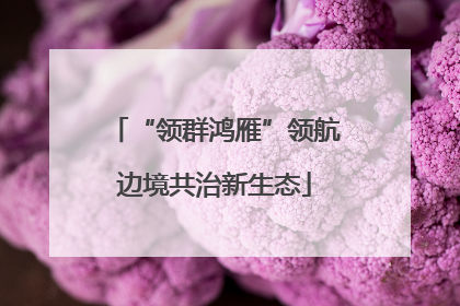 “领群鸿雁”领航边境共治新生态