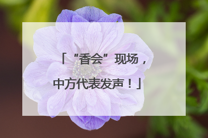 “香会”现场，中方代表发声！