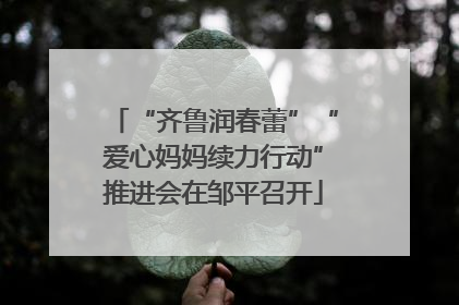 “齐鲁润春蕾”“爱心妈妈续力行动”推进会在邹平召开