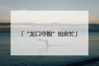 “龙口夺粮”抢收忙